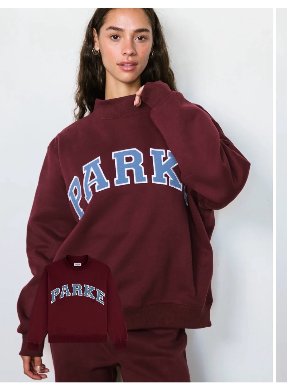PARKE mixed berry new fall mock neck. Maroon and blue